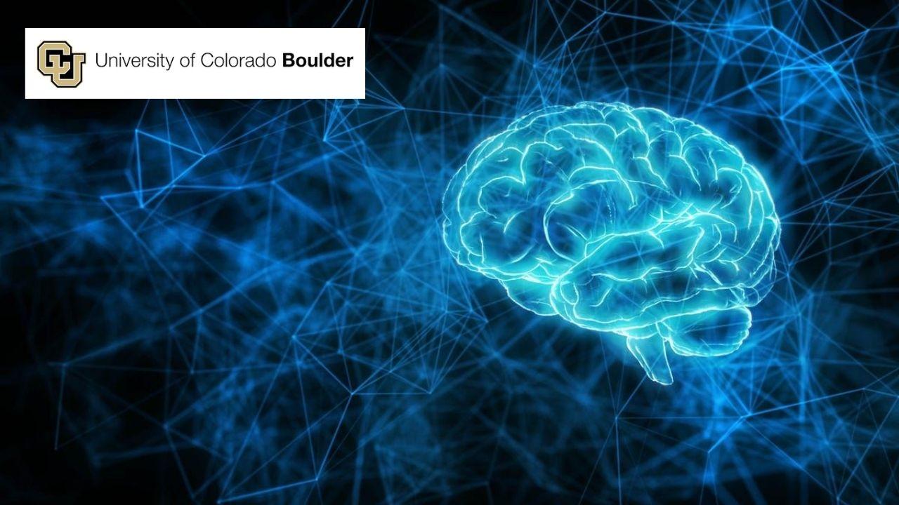 The Neuroscience of Leading High-Performance Teams