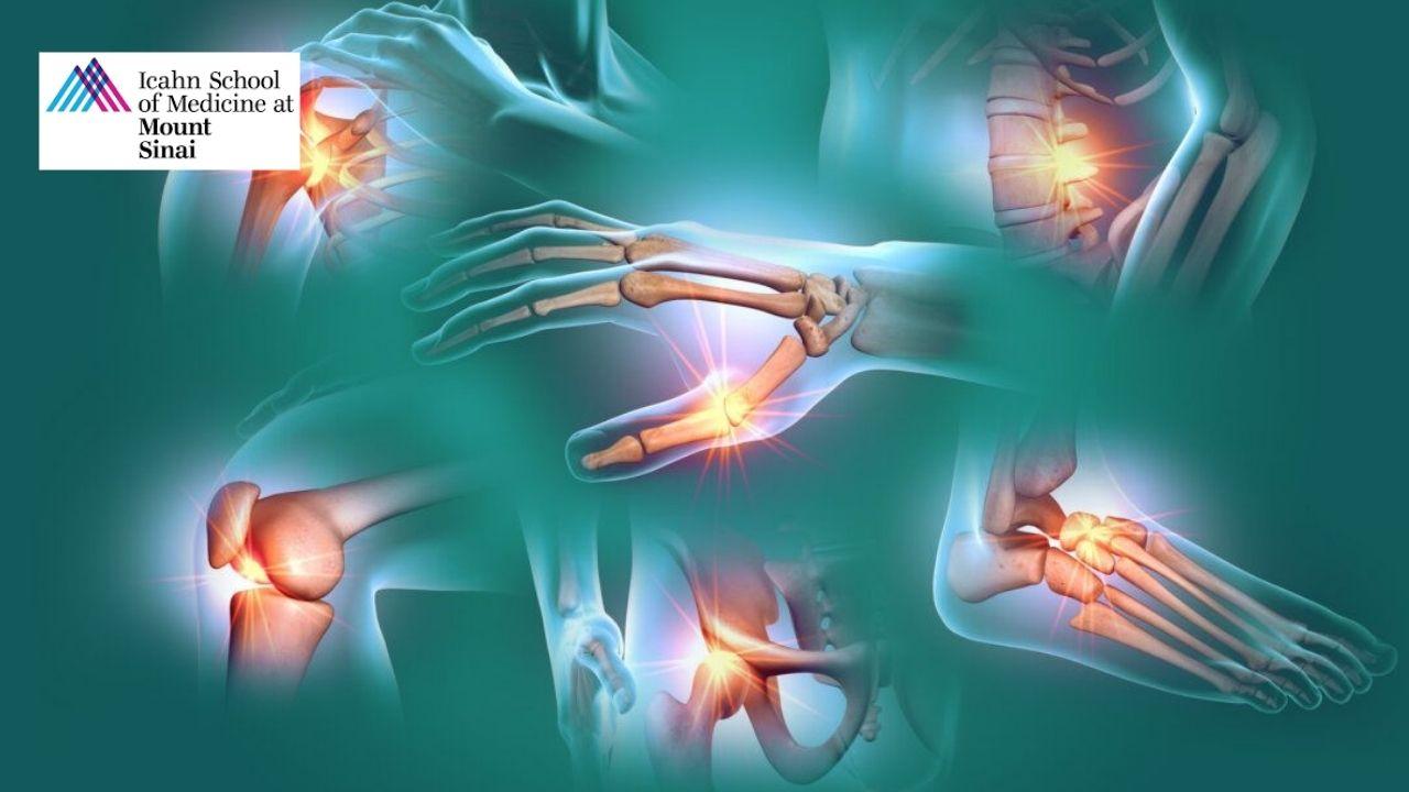 The Skin, Bones, and Muscles