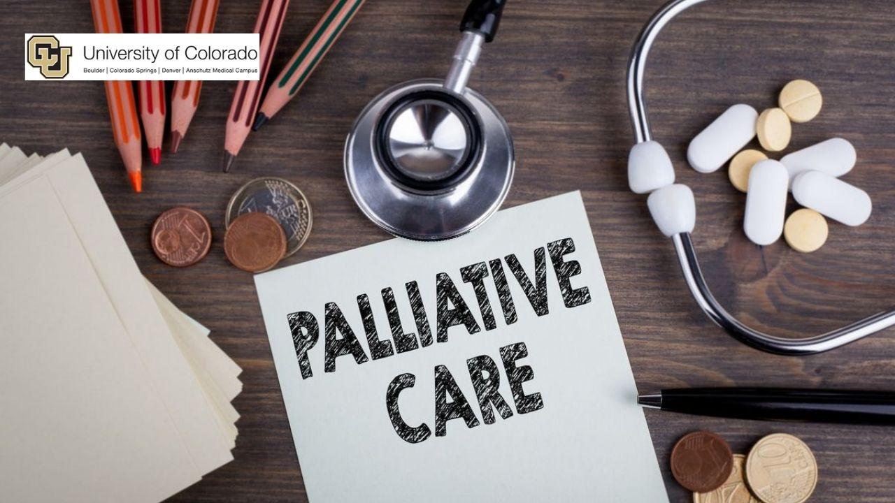 Palliative Care Capstone Projects