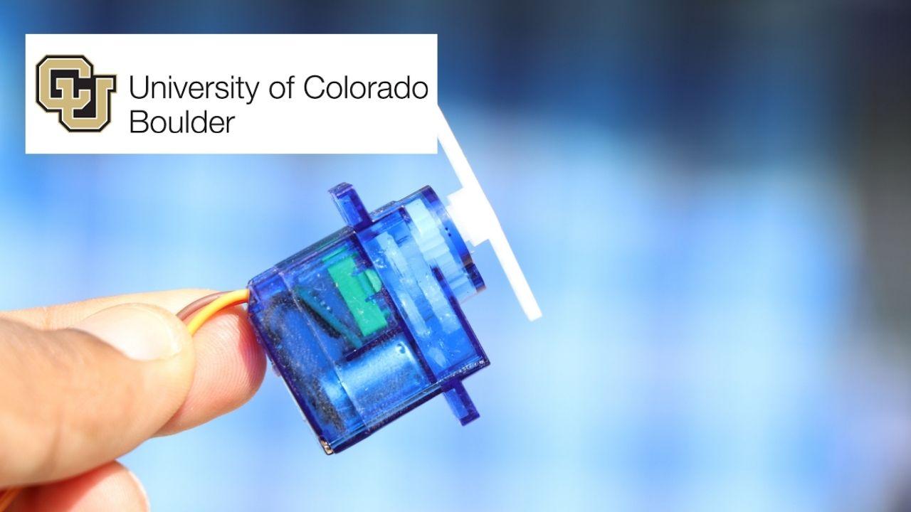 Embedding Sensors and Motors Specialization