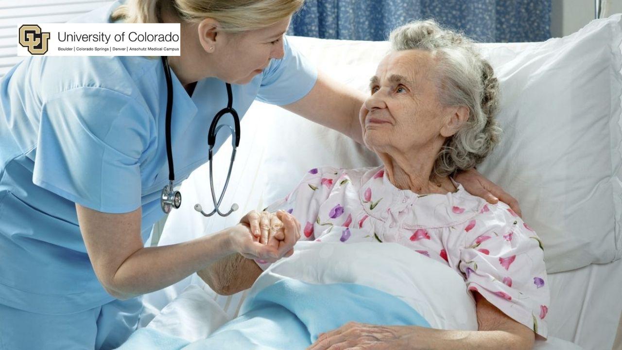 Pain Management: Easing Pain in Palliative Care