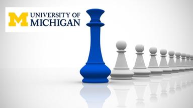 Sustainability Leadership Development