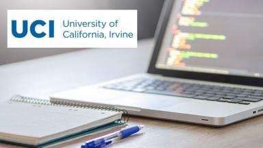 Programming with Google Go