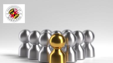 Power Skills Essentials for Leading Project Teams