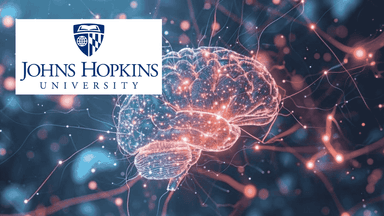 Mastering Neural Networks and Model Regularization