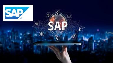 SAP Technology Consultant Professional Certificate