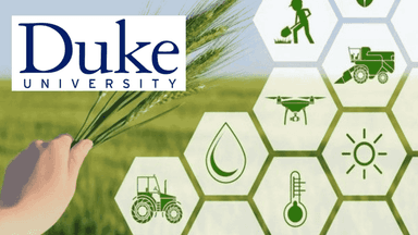 ESG Value Creation for Business Impact