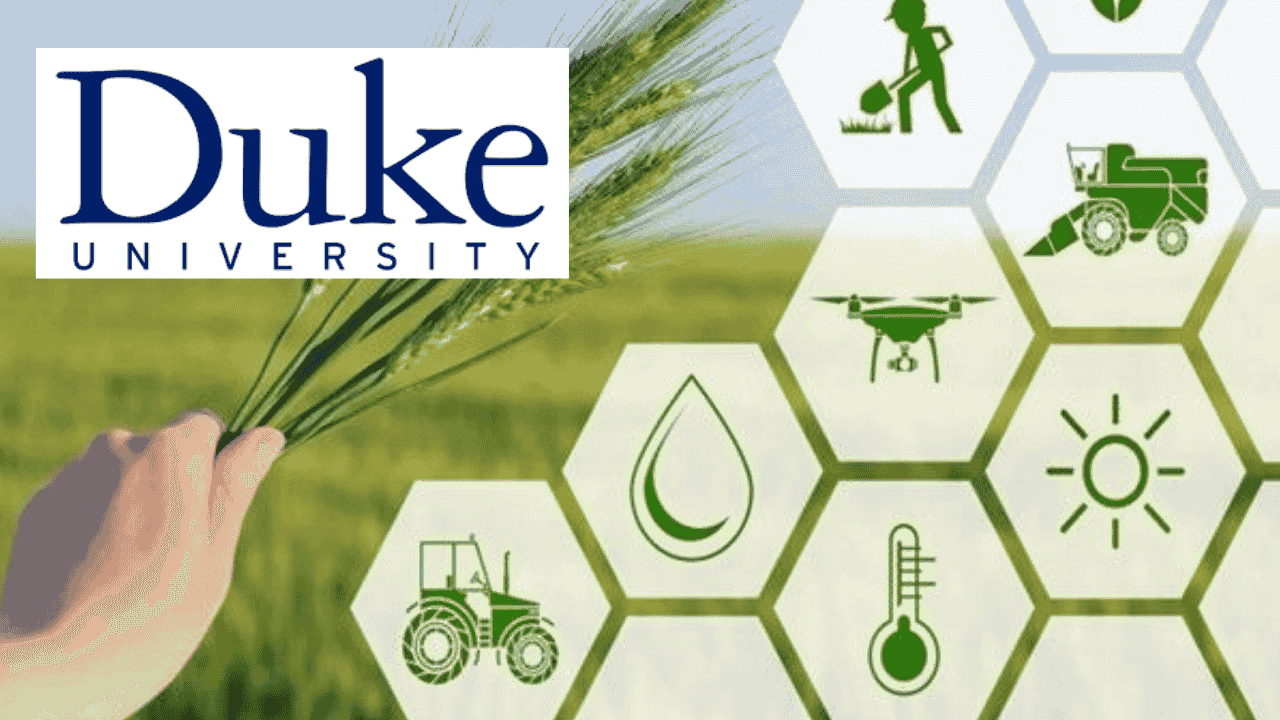 ESG Value Creation for Business Impact