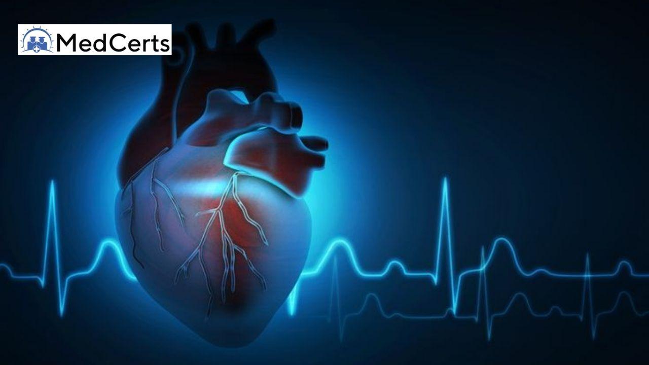 The Heart, Blood, and Lungs