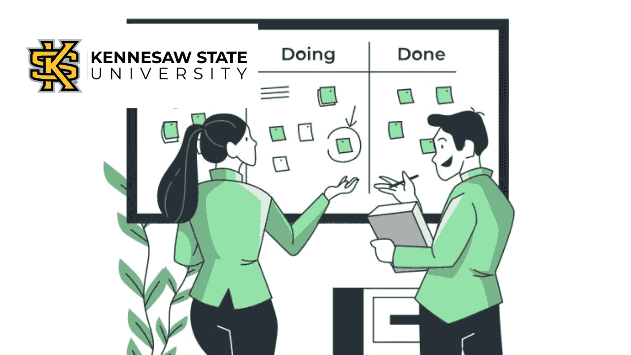 Organization Planning and Development for the 6 σ Black Belt