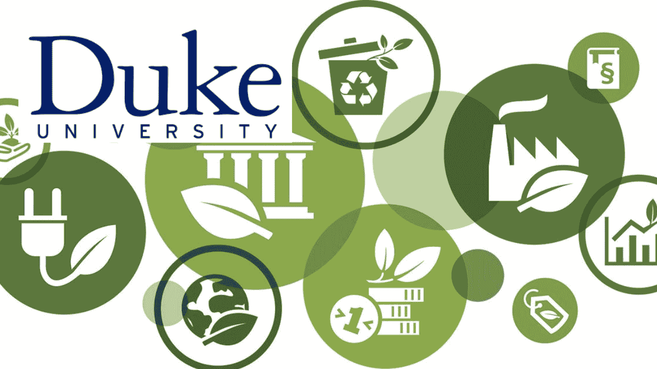 ESG Essentials for Sustainable Business