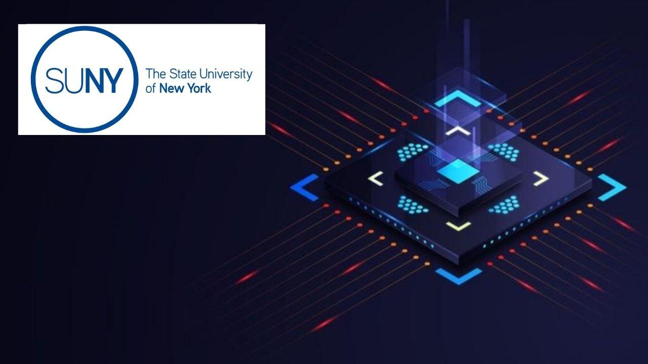 Decentralized Exchange (Dex) Protocols & Platforms