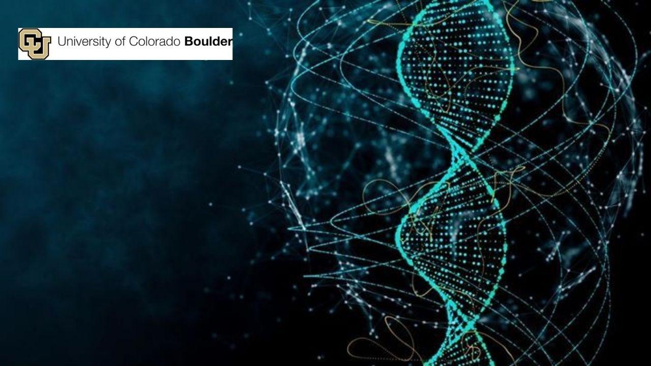 Engineering Genetic Circuits: Design