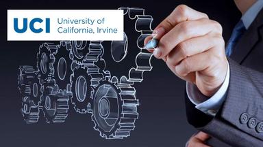 Productivity and Systems Development