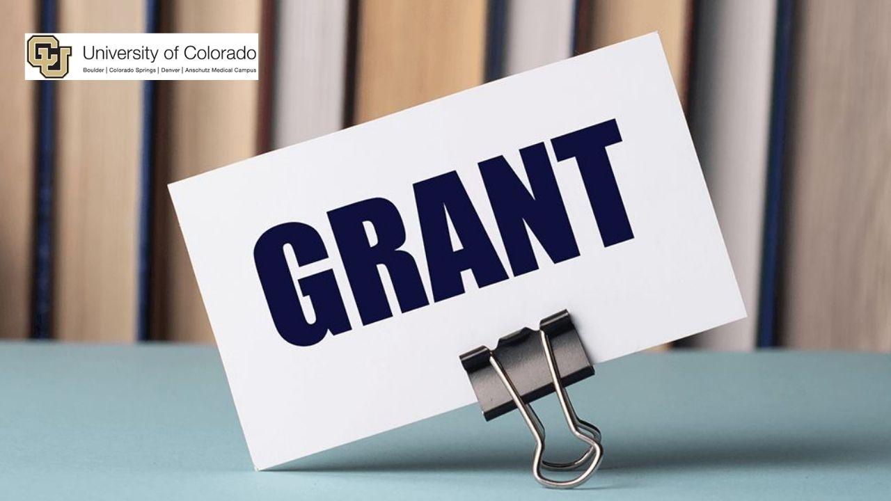 Grant Proposal Plans, Sections, and Resubmission