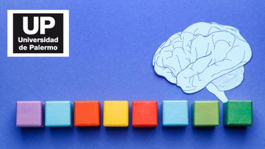 Psychology: Introduction & Basic Processes