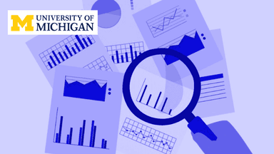 Data Analytics in the Public Sector with R
