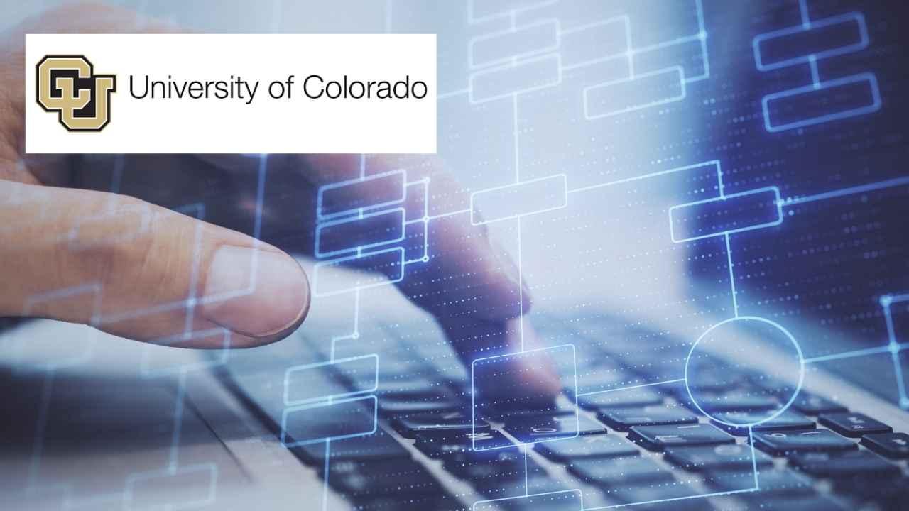 Secure Software Design