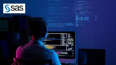 Advanced SAS Programming Techniques
