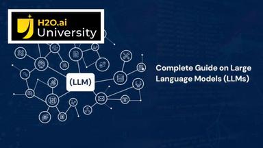 H2O ai Large Language Models (LLMs) - Level 1