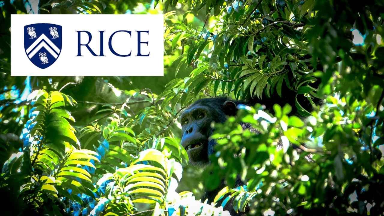 Introduction to Biology: Biodiversity