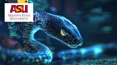 Python: From Basics to Real-World Applications