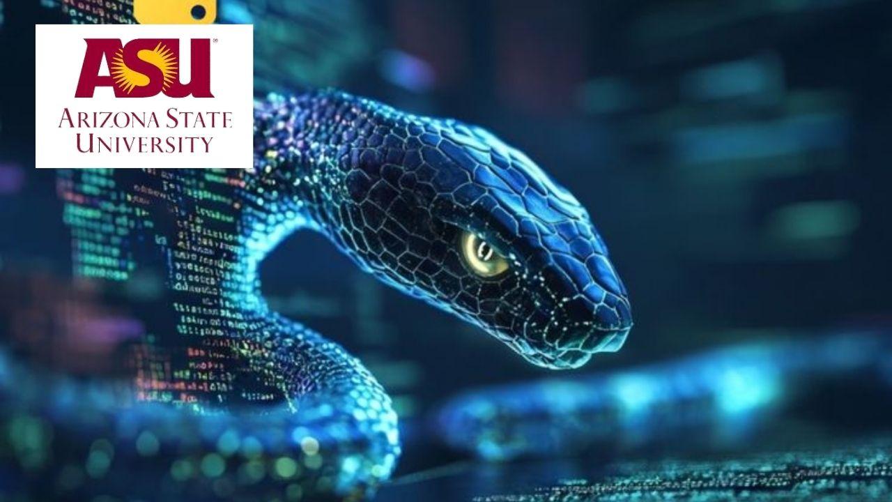 Python: From Basics to Real-World Applications