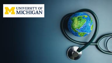 Impacts of the Environment on Global Public Health