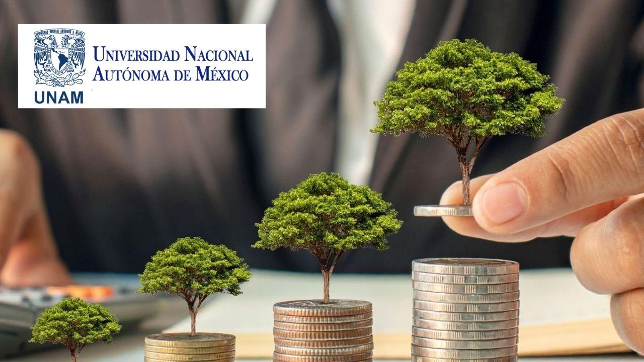 Toma de decisiones financieras