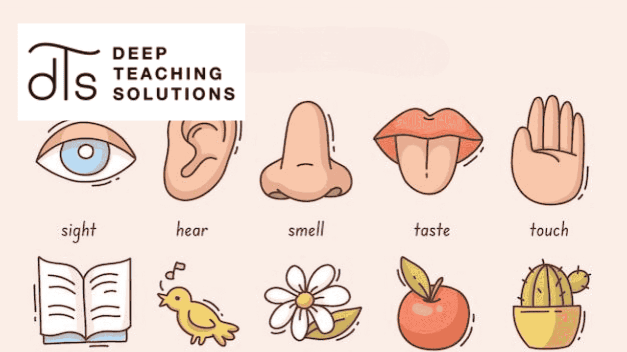 Uncommon Sense Teaching