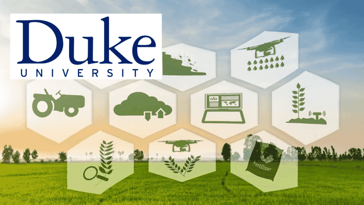 ESG Mindsets for Business Transformation