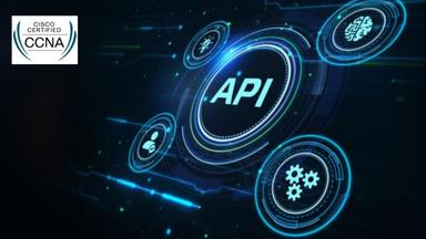 Using APIs for Network Automation