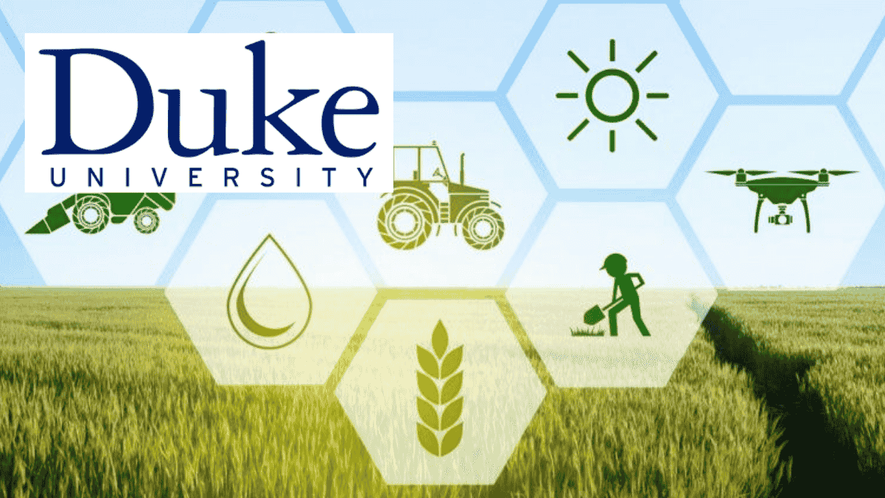 ESG Challenges and Solutions for Business