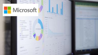 Advanced Data Analysis & Visualization with Copilot in Excel