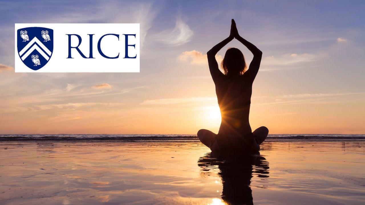 Mindfulness and Well-being