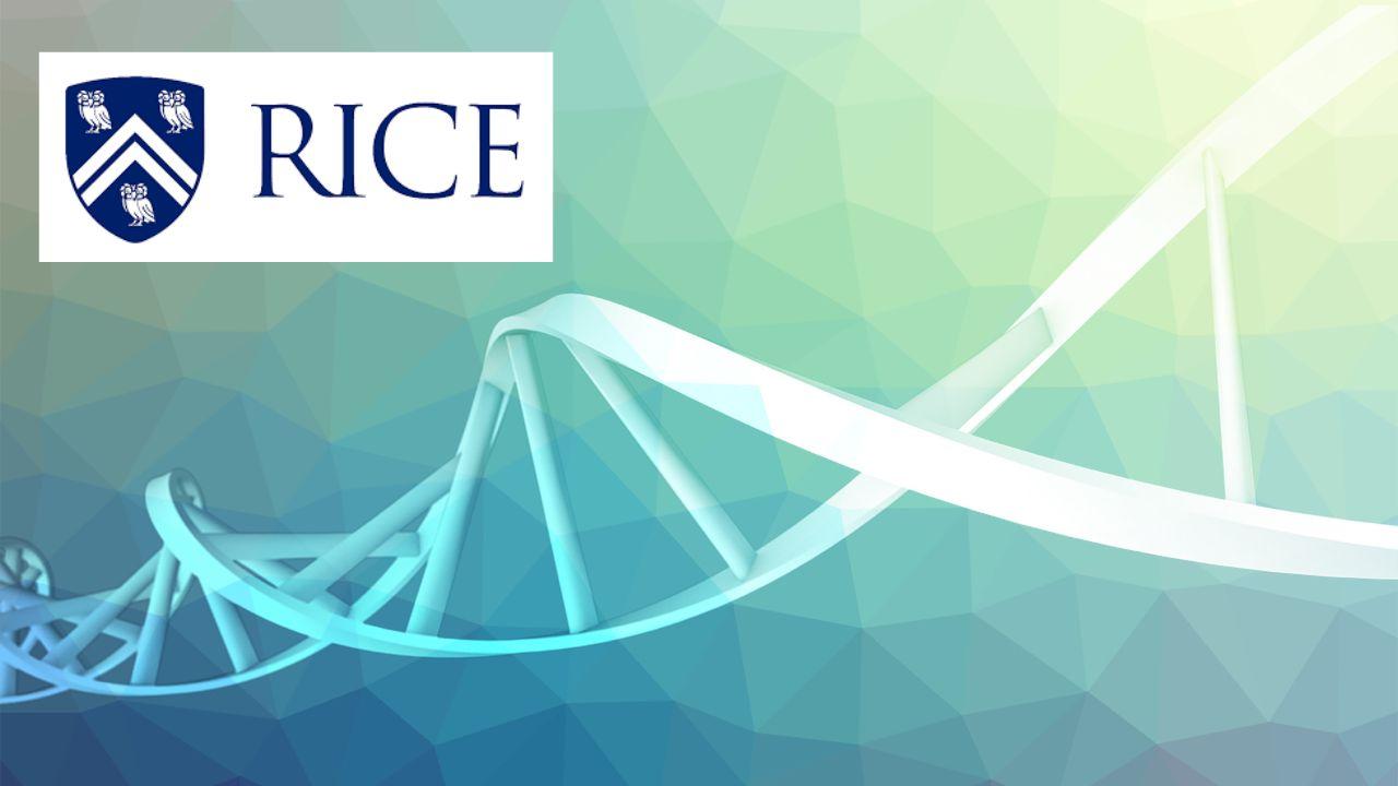 Introduction to Biology: Ecology, Evolution, & Biodiversity