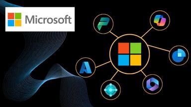 The Microsoft 365 Ecosystem