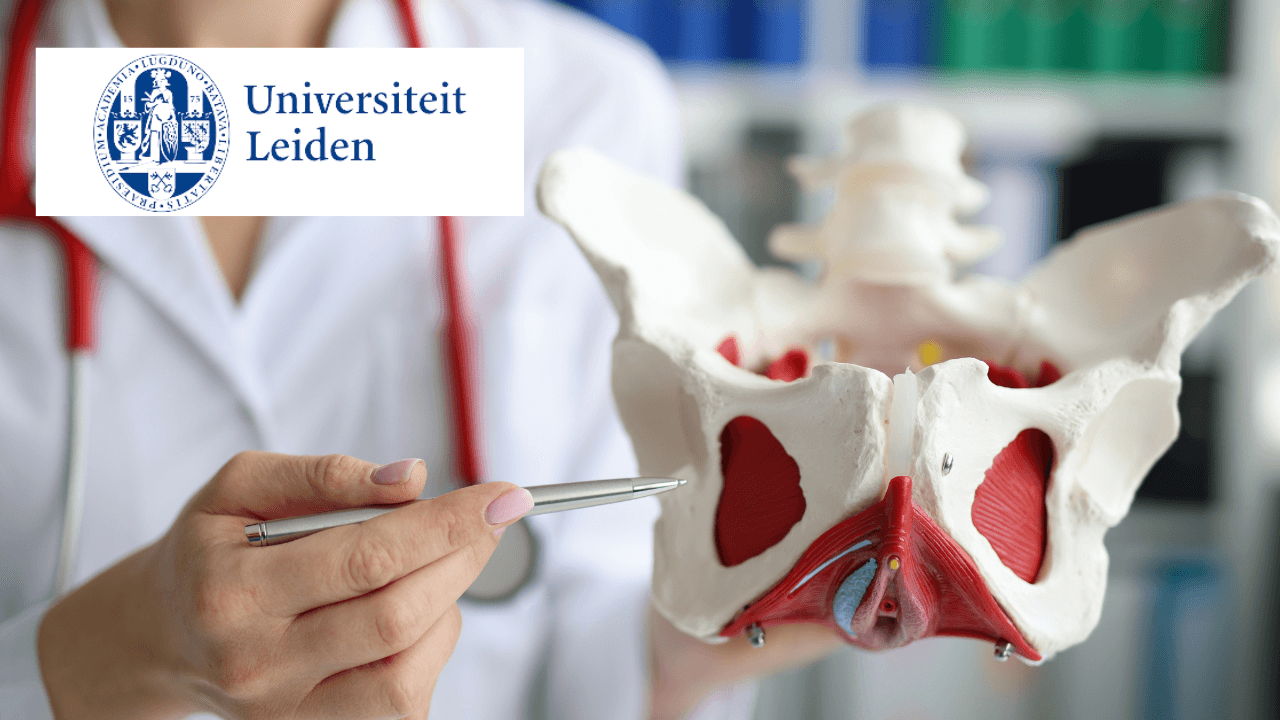 Anatomy: Abdomen & Pelvis - Basic Structure to Clinical