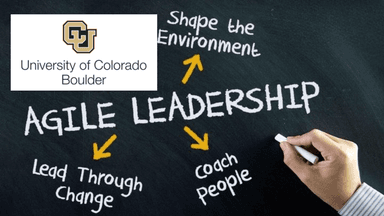 Agile Leadership Capstone
