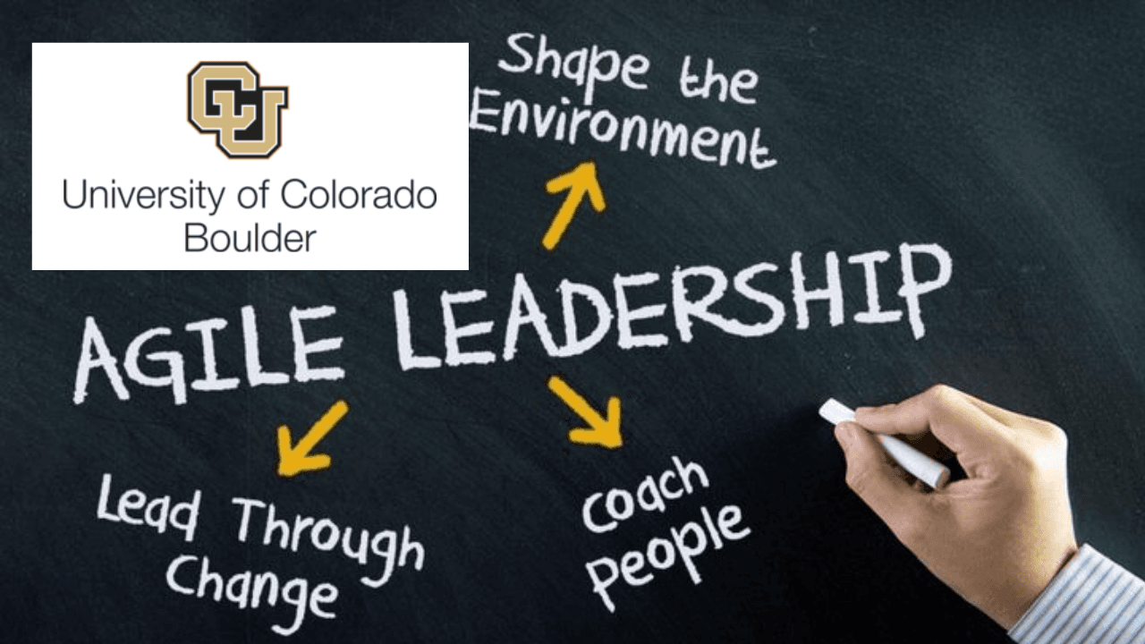 Agile Leadership Capstone