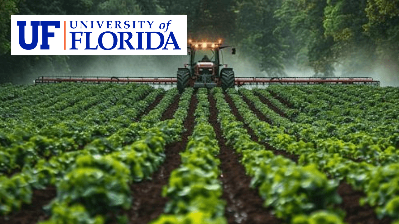 Agroforestry I: Principles and Practices
