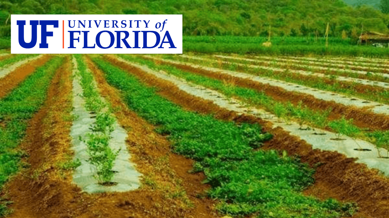Agroforestry III: Principles of Plant and Soil Management