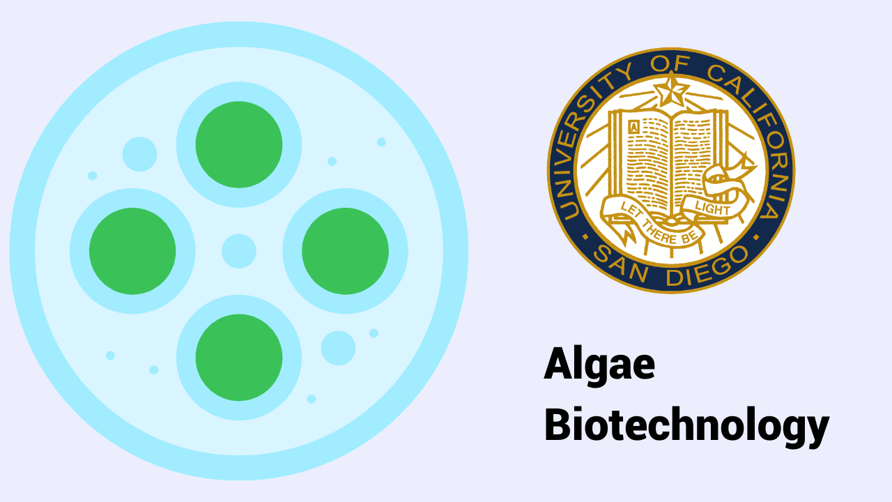 Algae Biotechnology: Harnessing Microalgae Power
