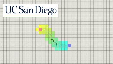 Algorithms on Strings