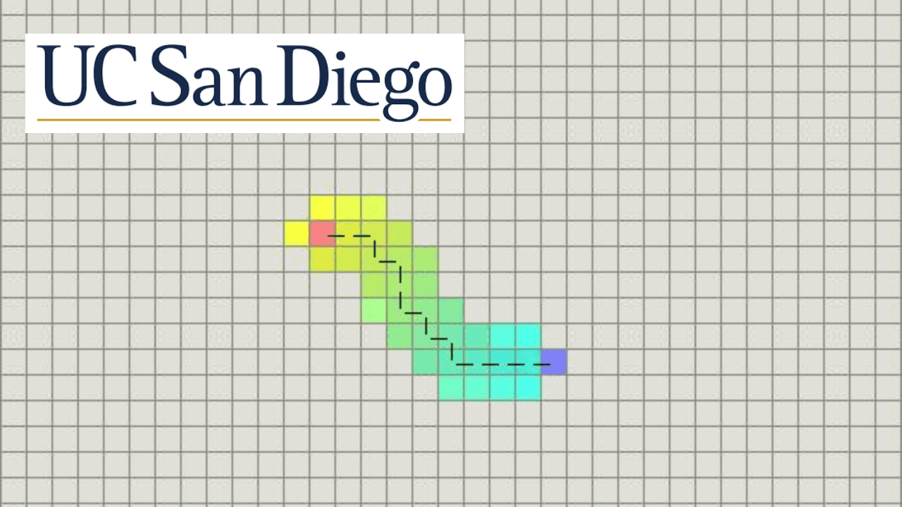 Algorithms on Strings