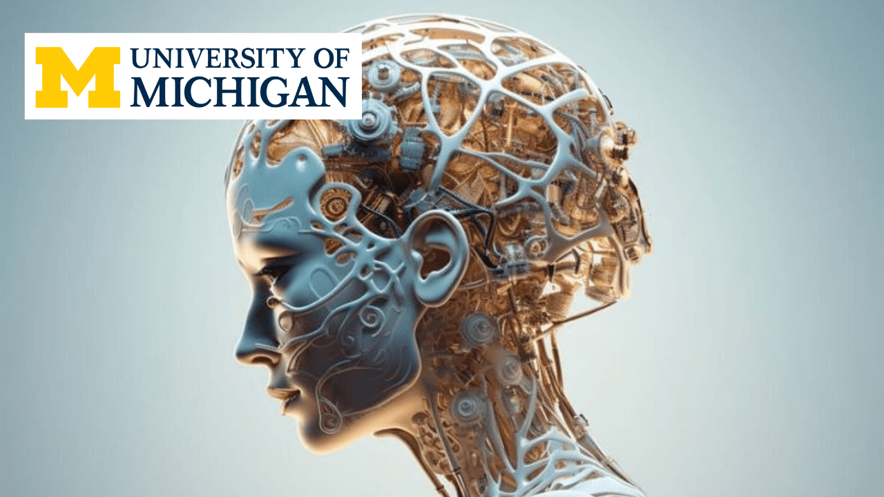 Anatomy: Human Neuroanatomy