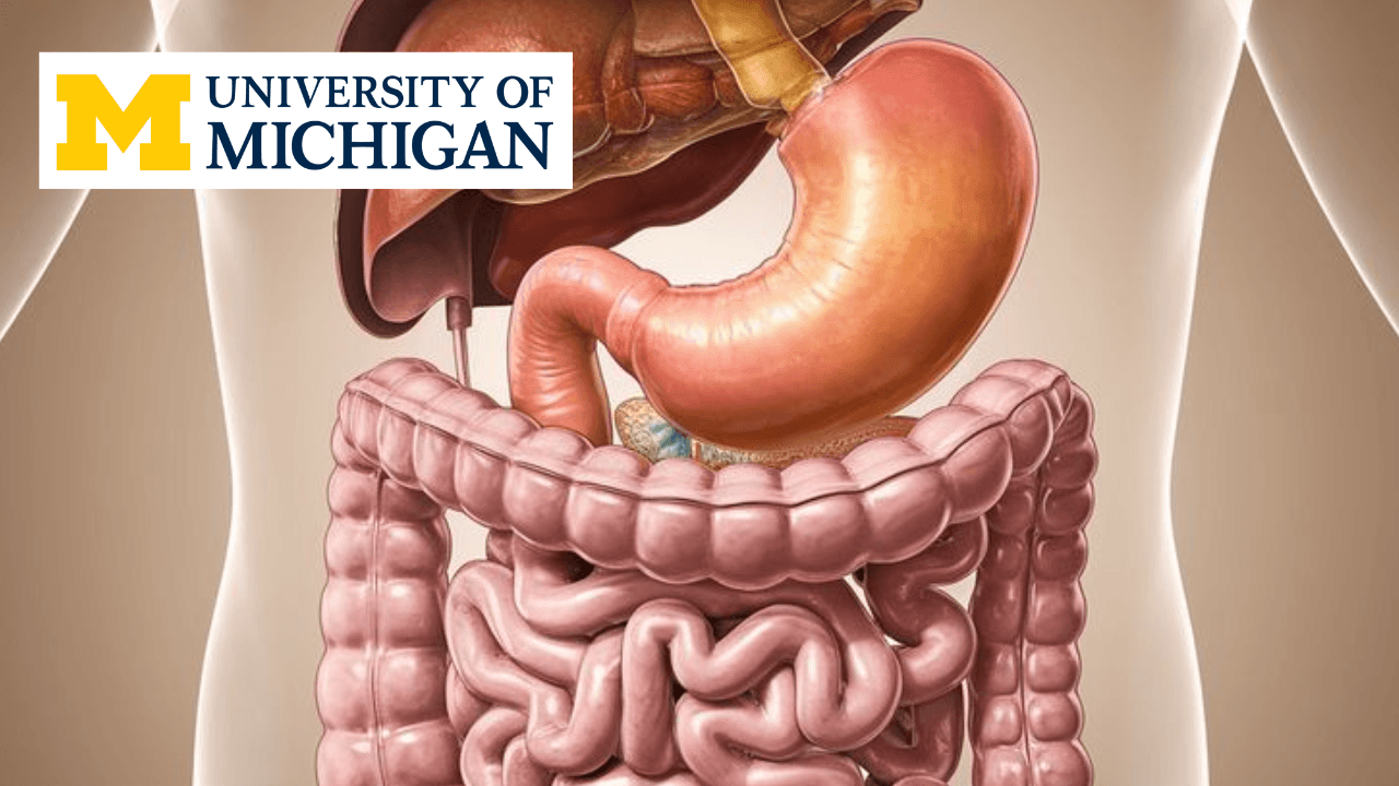 Body Systems: Digestion, Reproduction & Hormones