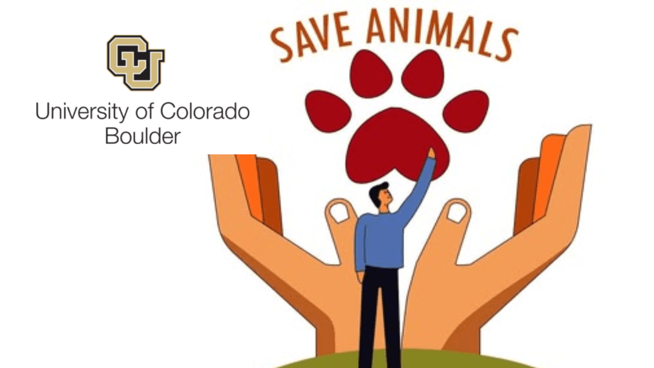 Animals, Self, and Society