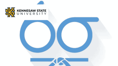 Six Sigma Advanced Improve and Control Phases