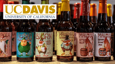 Beer Quality: Flavor